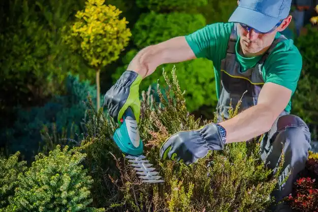 landscaping services Timberlake